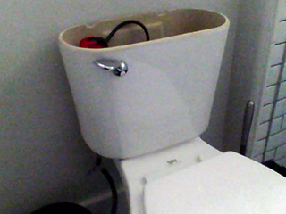 Toilet supply line (standard photo)