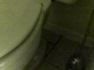 Base of a toilet (standard photo)