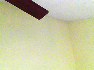 Interior wall (standard photo)